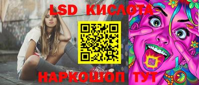 индика Лесосибирск
