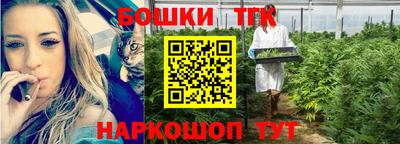 индика Лесосибирск
