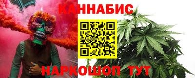 индика Лесосибирск