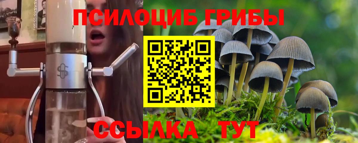Галлюциногенные грибы MAGIC MUSHROOMS Горячий Ключ